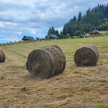 Domki Kolorowe Marciszow Esterno foto
