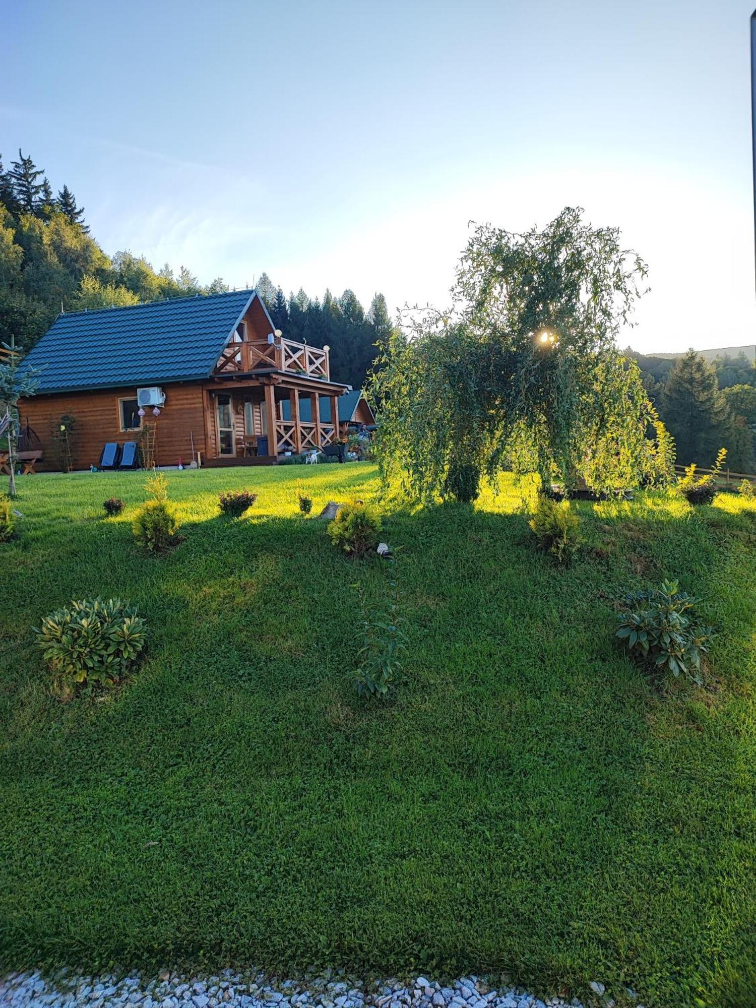 Domki Kolorowe Marciszow Esterno foto