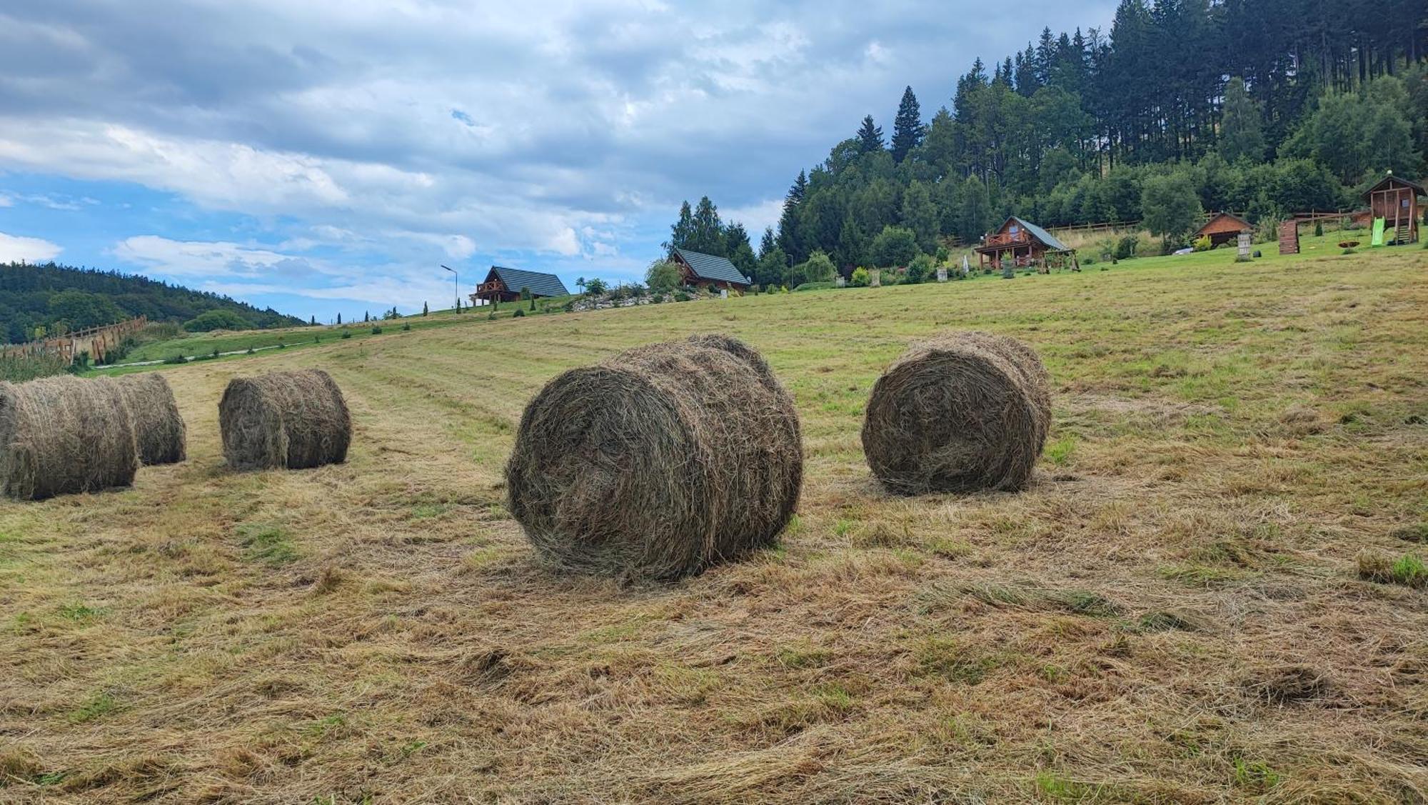 Domki Kolorowe Marciszow Esterno foto