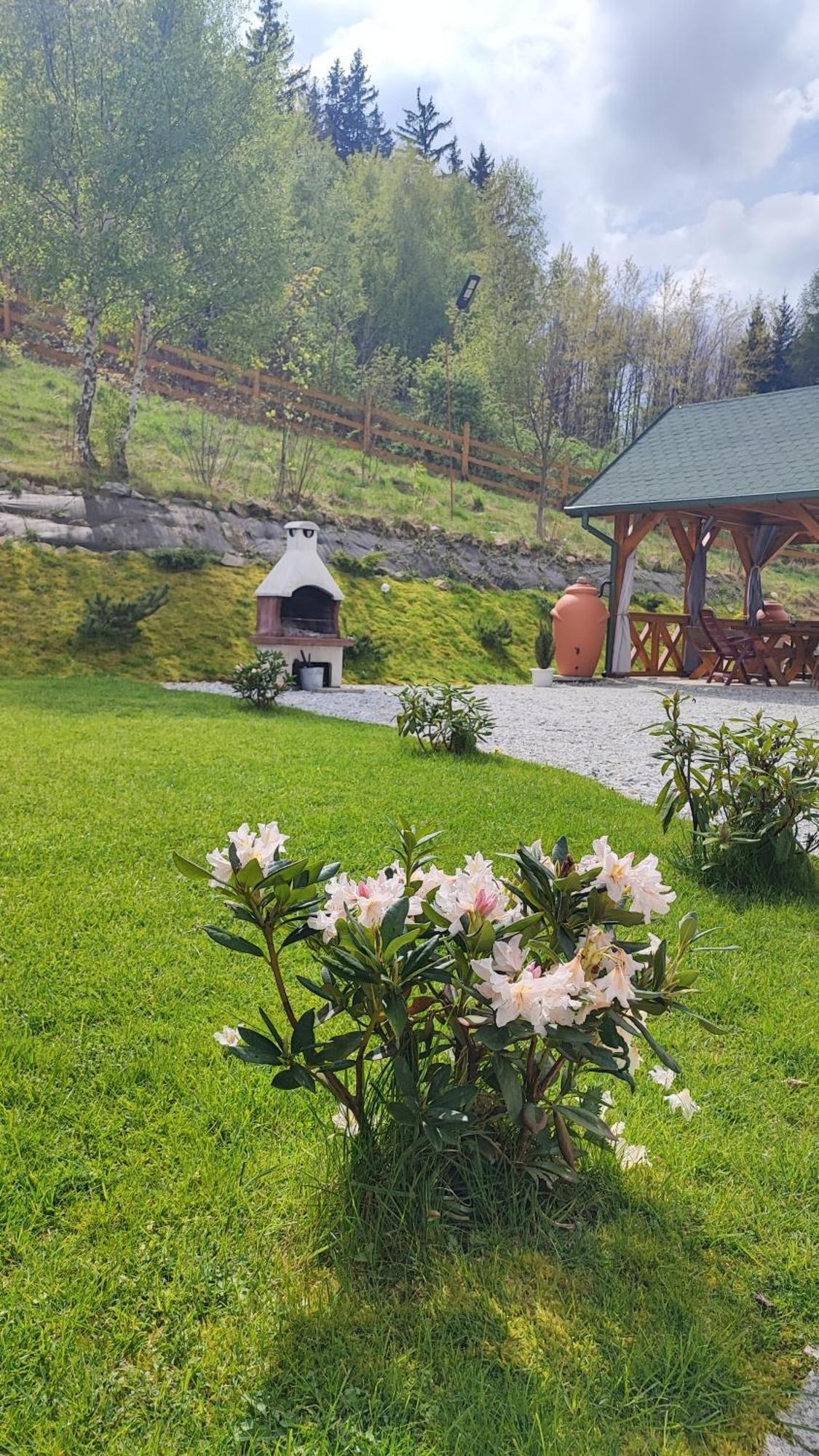 Domki Kolorowe Marciszow Esterno foto